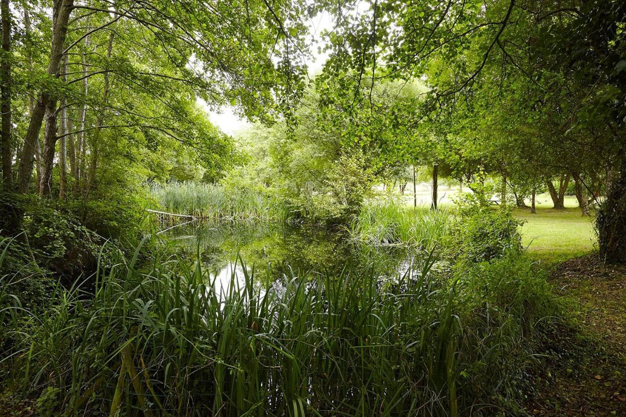 Villa Un Petit Coin De Campagne Dans Le Pays De Saint-Gilles Exterior foto